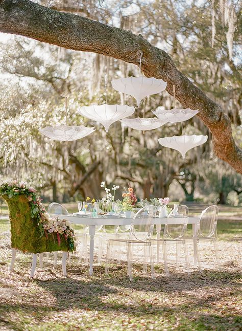 This April Bridal Shower Brings a May Wedding - photo by Arte de Vie http://ruffledblog.com/garden-bridal-shower-with-hanging-umbrellas Vintage Wedding Venues, Outdoor Bridal Showers, Lucy Rose, Bee Wedding, Garden Bridal Showers, Couples Bridal Shower, Vintage Bridal Shower, Shower Outfits, Bridal Shower Inspiration