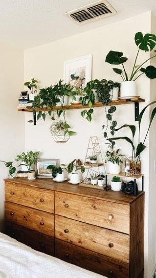 High Plant Shelf, Bohemian Plant Aesthetic, Dresser With Plants On Top, Dresser With Plants, Floating Shelves Plants, Top Of The Stairs Decor, Malm Dresser Decor, 1930s Living Room Ideas, Ideas For Floating Shelves