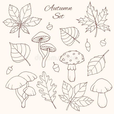 Acorn Drawing, Horse Chestnut Leaves, Autumn Doodles, Autumn Tattoo, Fall Drawings, Horse Chestnut, Leaf Drawing, Mushroom Art, Hand Drawn Vector