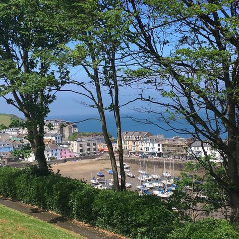 Ilfracombe Harbour through trees #ilfracombeharbour #ilfracombe #devon #devoncoast #walkingholiday #lovedevon #harbourview #harbour… | Instagram Ilfracombe Devon, 2024 Travel, Devon Coast, Walking Holiday, Devon, Trees, Travel, Instagram