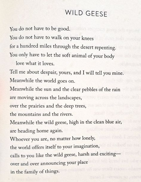 Mary Oliver Mary + Core + Aesthetic, Mary Oliver Quotes, Mary Oliver Poems, Poetic Words, Mary Oliver, Poems Beautiful, Poetry Words, Writing Poetry, Love Words