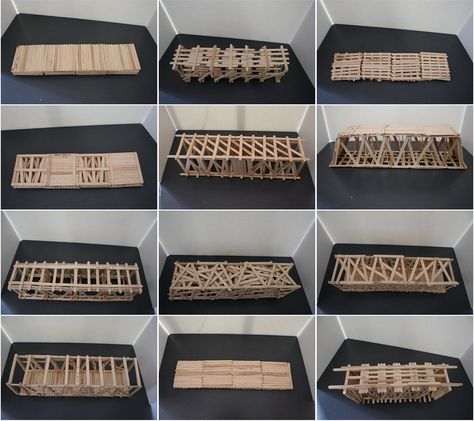 Popsicle Bridge, Stem Bridges, Popsicle Stick Bridges, Grassland Biome, Steam Ideas, Stem Elementary, Steam Projects, Pop Stick, Construction Theme