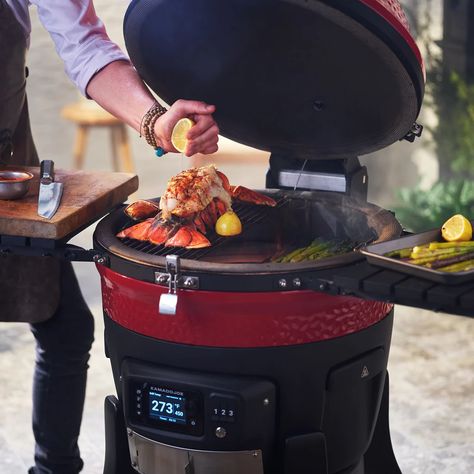 Charcoal Grill Smoker, Kamado Grills, Fire Pit Cooking, Ceramic Grill, Kamado Grill, Cooking App, Kamado Joe, Charcoal Bbq, Bbq Smokers