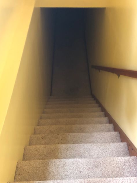 Old Stairs Aesthetic, Scary Hallway, Going Down Stairs, Slay The Princess, Mellon Soup, Hidden Staircase, Stair Way, Basement Steps, Basement Doors