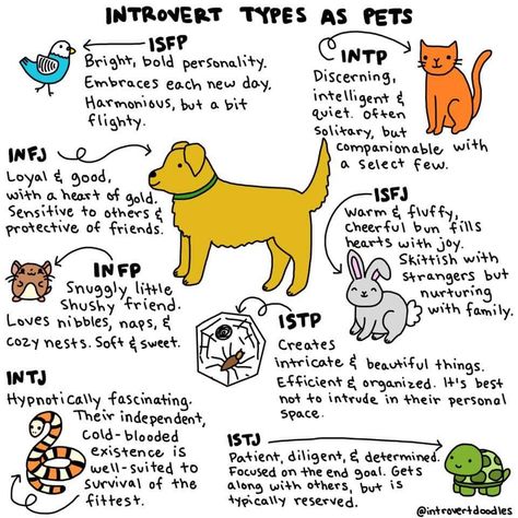 Infj Thoughts, Horned Serpent, Personalidad Infj, Mbti Intp, Isfj Personality, Character Test, Infp Personality Type, Mbti Types, Intp Personality