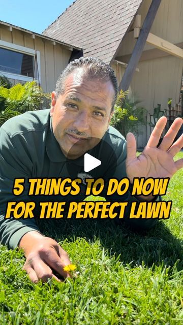 Armstrong Garden Centers on Instagram: Grass Fertilizer, Clover Lawn, No Mow Grass, Lawn Food, Planting Grass, Lawn Design, Lawn Fertilizer, Aerate Lawn, Diy Lawn