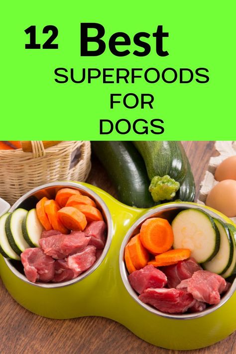 Superfoods for dogs What are the absolute BEST foods for your dog? #SuperfoodsForDog #DogHealth #DogNutrition #DogFood  #LoveDogs Best Superfoods, Dog Foods, Food Dog, Dog Nutrition, Dog Diet, Best Dog Food, Dog Info, Animal Nutrition, Dog Products