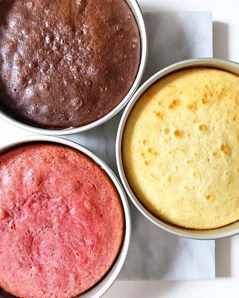 Neapolitan Cake | e2 bakes brooklyn Neopolitan Cake Recipes, Neapolitan Cake Recipe, Nepolian Cake, Neapolitan Desserts, Neopolitan Cake, Neapolitan Cake, Leftover Cake, White Cake Mixes, What Can I Say