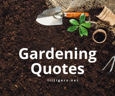 165 Inspirational Gardening Quotes for Kids - Lil Tigers Quotes About Herbs, Short Garden Quotes, My Garden Quotes, Garden Phrases, Quotes About Gardens, Garden Captions, Garden Sayings And Quotes, Garden Quotes Inspirational, Gardening Sayings