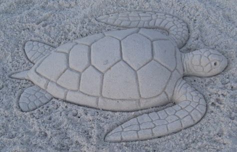 Turtle Sand Sculpture, Easy Sand Art Beach, Sea Turtle Sand Sculpture, Beach Sculpture Ideas, Sand Sculpture Ideas Easy, Easy Sand Sculptures Ideas, Beach Sand Art Easy, Sand Sculptures Easy The Beach, Sand Sculpture Ideas