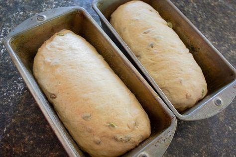 Pumpkin and Sunflower Seed Bread - a delicious loaf of homemade bread made with whole wheat flour and pumpkin and sunflower seeds. #homemadebread #breadrecipe #pumpkinseedbread #sunflowerseedbread Sunflower Seed Bread, Healthy Pumpkin Bread, Wheat Bread Recipe, Seed Bread, Raw Pumpkin Seeds, Bread Toast, Wheat Bread, Whole Wheat Bread, Loaf Recipes