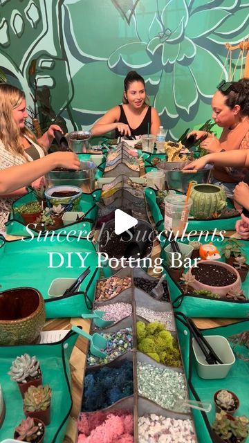 Sincerely Succulents (@sincerely.succulents) • Instagram photos and videos Succulent Bar Diy, Succulent Bar, Succulent Planting, Vendor Booth, Girls Day, Diy Bar, Succulents Diy, Girl Day, Be Creative