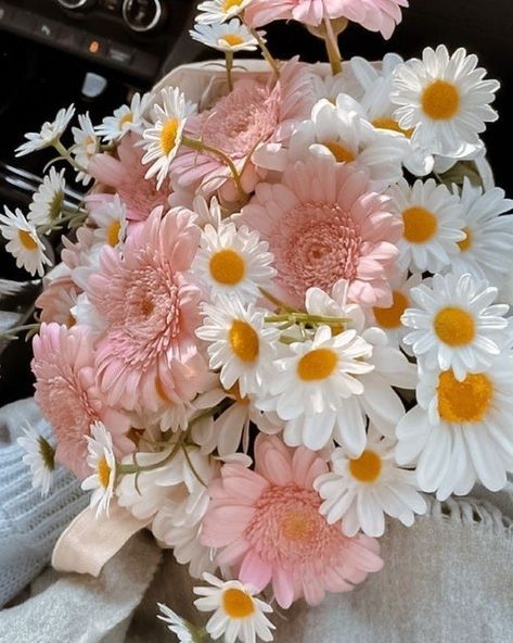 Buy Me Flowers, Pretty Flowers Pictures, Flower Boquet, Luxury Flower Bouquets, Prettiest Bouquet, Daisy Bouquet, Boquette Flowers, Flowers Bouquet Gift, Nothing But Flowers