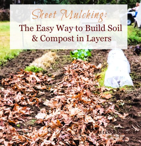 Easy sheet mulching in fall for the vegetable garden. A great way to compost in layers to build up your soil without a ton of work, which manures to use, and should you go straw or leaves. #vegetablegarden #gardening Edible Backyard, Garden Soil Preparation, Vegetable Garden Soil, Xeriscape Front Yard, Leaf Mulch, Sheet Mulching, Gardening For Dummies, Permaculture Garden, Horse Manure