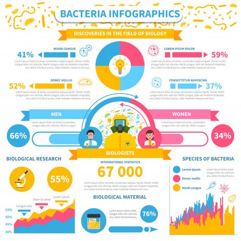 Bacteria infographics set | Free Vector #Freepik #freevector Science Symbols, Chemical Safety, Health Symbol, Medical Symbols, Poster Layout, Flow Chart, Nanotechnology, Map Vector, Microbiology