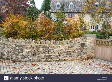 Download this stock image: Young autumn beech trees and dry stone wall in Blockley, Cotswolds, Gloucestershire, England - H6FBEK from Alamy's library of millions of high resolution stock photos, illustrations and vectors. Cotswold Stone Driveway, Gloucestershire England, Stone Walls Garden, Dry Stack Stone, Building Garden, York Stone, Beech Trees, Stone Fence, Stone Driveway