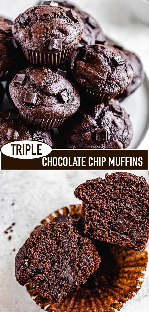 These Triple Chocolate Chip Muffins get their ultra chocolatey flavour from the melted chocolate base, cocoa powder and loads of chocolate chunks! This is the perfect excuse to enjoy chocolate for breakfast every morning! | queensleeappetit.com Chocolate Breakfast Muffins, Choc Muffins, Triple Chocolate Muffins, Choc Chip Muffins, Lemon Blueberry Muffins, Lemon Muffins, Caramel Cheesecake, Melted Chocolate, Baked Goodies