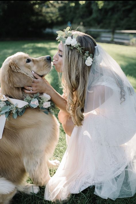 Dog Wedding Photos, Photos With Dog, Wedding Picture Poses, Wedding Pets, Wedding Dresses Ideas, Wedding Picture Ideas, Wedding Photo Inspo, Wedding Photos Poses, Cute Wedding Ideas