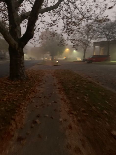 Quiet Fall Aesthetic, Foggy Halloween Aesthetic, Fall Foggy Morning, Early Autumn Morning Aesthetic, Fall Mornings Aesthetic, Scary Fall Aesthetic, Foggy Town Aesthetic, Foggy Fall Vibe, Foggy Autumn Aesthetic