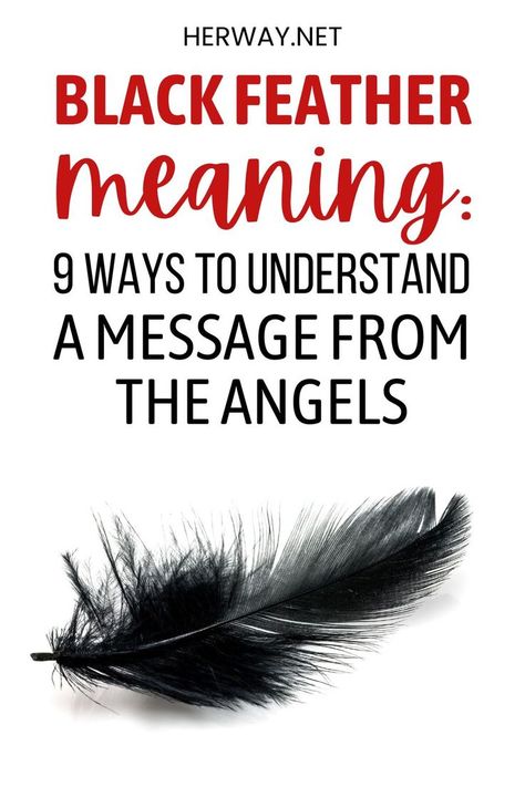 What is finding a black feather meaning? In this article, we will tell you all about its spiritual, angelic, and biblical meaning. Black Angel Quotes, Meaning Of Black Feather, Finding Black Feather Meaning, Tattoos Of Feathers, Feather Meaning Spiritual, Black Feather Spiritual Meaning, Spiritual Meaning Of Feathers, Finding A Black Feather Meaning, Crow Feather Meaning