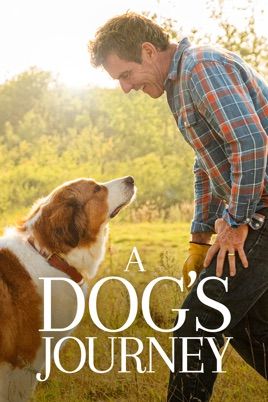 A Dogs Journey, A Dogs Purpose Movie, A Dog's Journey, Kathryn Prescott, A Dogs Purpose, A Dog's Tale, Dog Movies, Cute Kitten Gif, Dog People