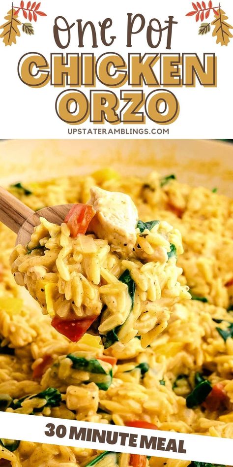 One Pot Chicken Orzo Orzo Chicken One Pot, One Pan Orzo Chicken, Recipes With Orzo Pasta And Chicken, Instant Pot Chicken And Orzo, Chicken Orzo Recipes, One Pot Chicken Orzo, Cajun Chicken Orzo, Chicken Orzo Pasta, French Onion Casserole