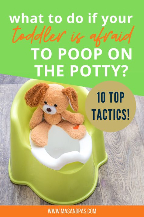 What to do if your toddler refuses to poop on the potty. If your toddler happily wees in the potty but is reluctant (or even scared) to poop – don’t panic. It’s very common and there are lots of things you can do to help - find out what here! #pottytraining #pottytrainingproblems #pottytraining101 #pottytrainingtips #toilettraining Potty Training Fun, Travel Potty, Potty Training Boys, How To Potty Train, Potty Seat, Potty Training Tips, Potty Train, Toddler Travel, Toilet Training