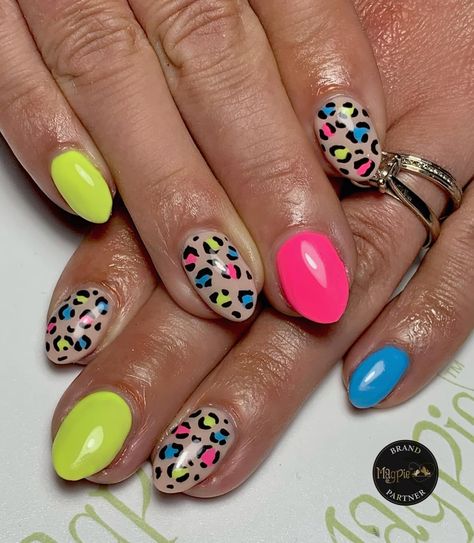 Rainbow Leopard Print Nails, Colourful Leopard Print Nails, Leopard Print Summer Nails, Colorful Cheetah Nails, Summer Nail Stamping Ideas, Rainbow Leopard Nails, Bright Leopard Nails, Neon Leopard Print Nails, Colorful Leopard Nails