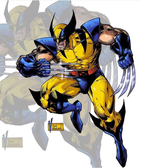 Wolverine Redesign, Wolverine Snikt, Wolverine Marvel Comics, Wolverine Cartoon, Wolverine Character, Wolverine Artwork, Wolverine Movie, Marvel Wolverine, Xmen Art