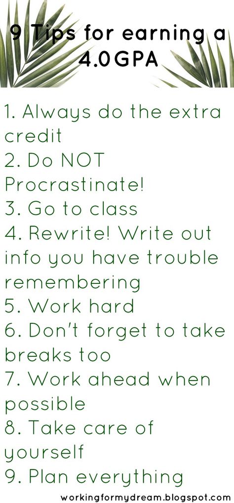 How I earned a 4.0 my first semester. #college #4.0 University Quotes, University Ideas, Nursing School Organization, College Teaching, English Education, Cheese Trays, Education University, Catering Display, High School Survival