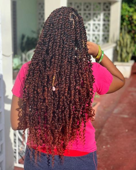 Passion Twists Color, Passion Twists, Twist Braid, Braided Styles, Twist Styles, Twist Braid Hairstyles, Braid Hairstyles, Twist Braids, Protective Styles