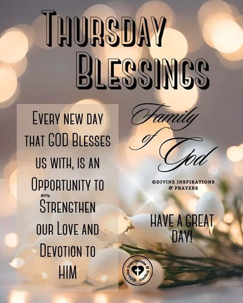 Thursday Greetings, Thursday Blessings, Week Quotes, Beautiful Good Night Quotes, Peace Scripture, Afternoon Quotes, Good Morning Happy Friday, Wednesday Quotes, Thankful Thursday