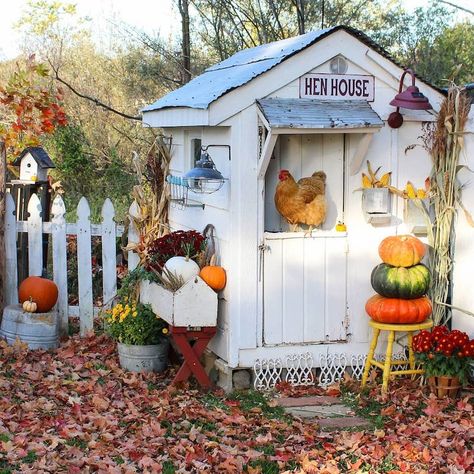 My French Country Home Magazine » Cutest Chicken Coops on Instagram Unique Chicken Coop, Chicken Coop Decorations, Chicken Coop Plans Free, Coop Decor, Cute Chicken Coops, Chicken Coop Garden, Chicken Coop Decor, Country Home Magazine, Raising Chicks