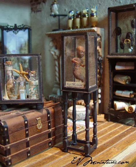 New items available at Spellbound Books and Curiosities..   Lets see..   An Egyptian mummy   Fiji Mermaid   Special cabinet of shrunken ... Miniature Curiosities, Curiosities Cabinet, Haunted Miniatures, Dollhouse Halloween, Haunted Dollhouse, Miniature Ideas, Halloween Miniatures, Dollhouse Projects, Dollhouse Ideas