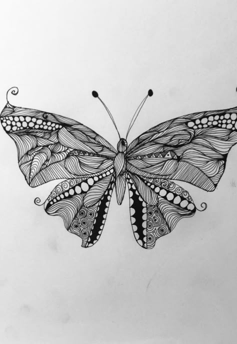 Zentangle Art Butterfly, Zentangle Animals Easy, Zentangle Butterfly, Line Art Butterfly, Zentangle Animals Art, Butterfly Line Drawing, Easy Zentangle Patterns, Book Drawings, Easy Zentangle