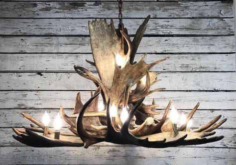 Moose Antler Chandelier, Moose Antler Decor, Antler Lighting, Deer Antler Chandelier, Hollywood Decor, Chandelier Designs, Antler Lights, Antler Wedding, Moose Antlers