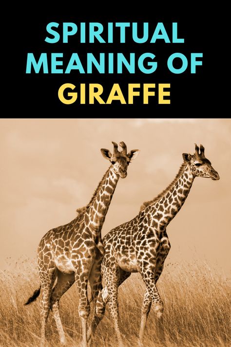 Giraffe Spirit Animal Meaning, Zebra Spirit Animal Meaning, Giraffe Meaning, Giraffe Spiritual Meaning, Frog Meaning Spiritual, Giraffe Symbolism, Giraffe Spirit Animal, Animals Meaning Spiritual, Spirit Animal Meaning