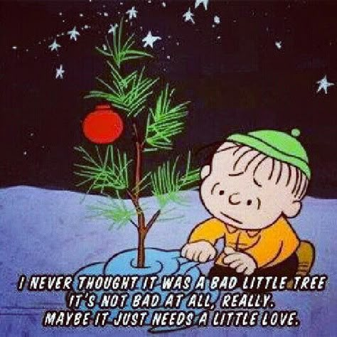 Charlie Brown Christmas Snoopy Christmas Quotes, Charlie Brown Christmas Quotes, Peanuts Gang Christmas, Charlie Brown Quotes, Charlie Brown And Friends, Brown And Friends, Lucy Van Pelt, Peanut Gang, Peanuts Charlie Brown