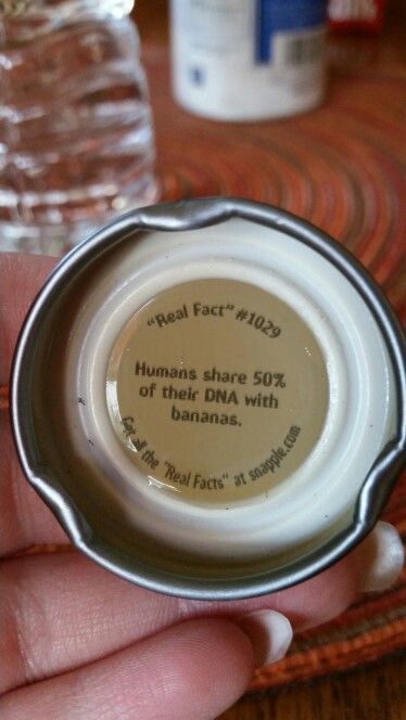 Snapple Fact #1029 Human Facts, Snapple Facts, Trivia Time, Useless Knowledge, Lunch Notes, Bar Inspiration, Big Smiles, Weird But True, 1000 Life Hacks