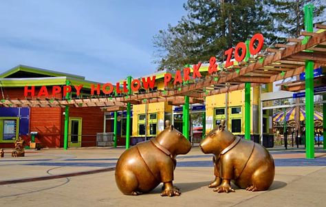 Happy Hollow park and zoo #PampersPlayDate - Happy Hollow Park & Zoo Happy Hollow, Zoo Photos, Natural Farming, San Jose California, Rainwater Harvesting, Santa Clara, San Jose, The Neighbourhood, California