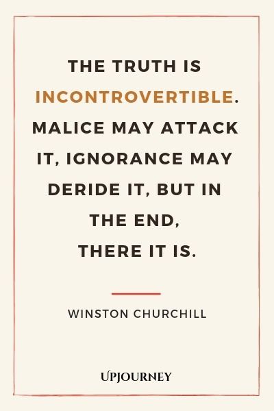 Social Media Quotes Truths, Quotes About Truth, Democracy Quotes, People Quotes Truths, Lesson Learned Quotes, Step Mom Quotes, Truth Or Dare Questions, Winston Churchill Quotes, Dare Questions