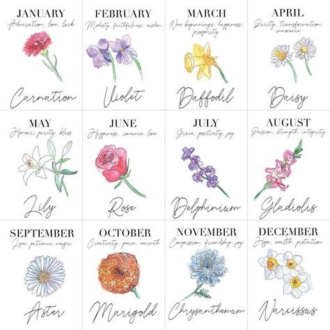 Birth flowers and meaning December Flower Tattoo, 27 Tattoo, December Flower, December Birth Flower, October Birth Flowers, July Birth Flower, September Birth Flower, November Birth Flower, June Birth Flower