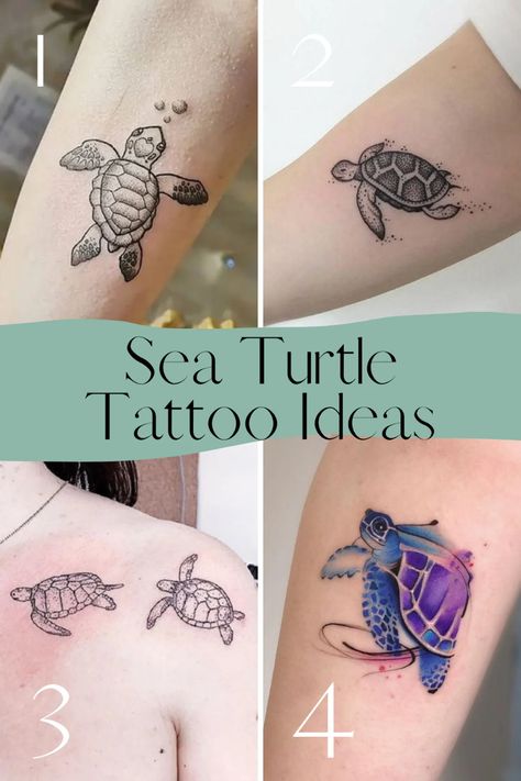 97+ Sea Turtle Tattoo Designs & Hawaiian Flowers - TattooGlee Sea Turtle Tattoo Placement, Tattoo Ideas Female Sea Turtle, Dolphin Sea Turtle Tattoo, Sea Turtle Family Tattoo Ideas, Butterfly Turtle Tattoo, Turtle And Flower Tattoo Hawaii, Cartoon Sea Turtle Tattoo, Sea Turtle Tattoo Designs For Women, Beach Turtle Tattoo