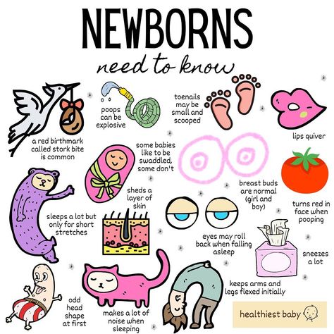 Pediatrician • Dr Cathryn on Instagram: “Newborns are sweet and curious little creatures. I’ve put together a few common facts that will hopefully help you feel more confident and…” Mommy Hacks, Newborn Needs, Sleeping A Lot, College Advice, Doctors Note, Little Creatures, Medical School Essentials, Feel More Confident, Baby Planning