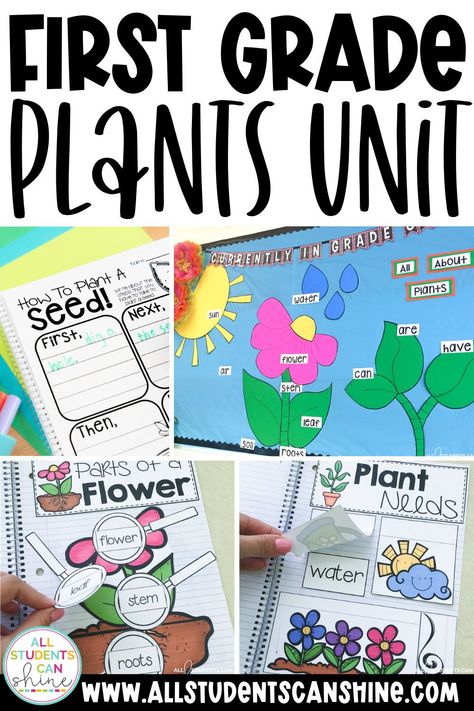 Plants First Grade Activities, Plants First Grade Science, Teaching Plants In First Grade, Life Cycle Of A Plant Lesson Plan, Needs Of Plants And Animals Grade 1, Life Science First Grade, 1st Grade Garden Activities, Plants 1st Grade, Spring Activities Grade 1