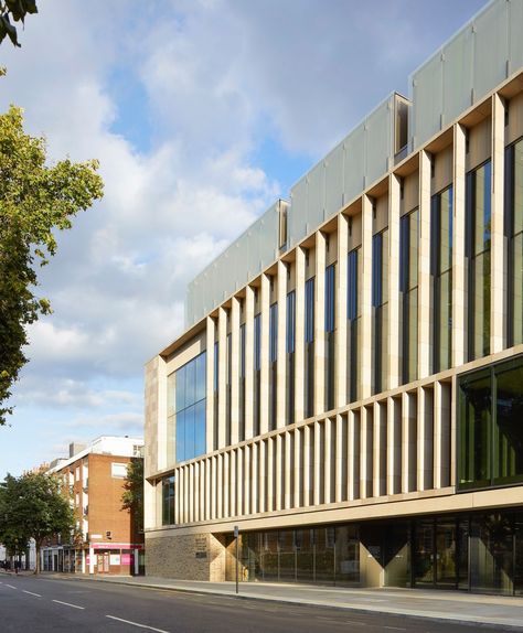 Stanton Williams, Royal Pavilion, Facade Cladding, Stone Facade, Architecture Board, Exposed Concrete, Rare Disease, Urban Architecture, Building Facade