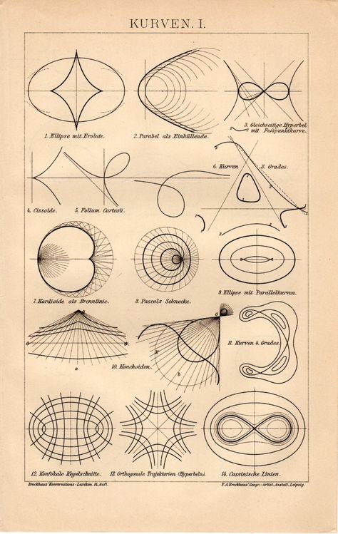 MATHEMATICS NATURE — Antique printed in 1894 - Title: Kurven I/II.... Mathematics Art, Sacred Geometry Art, Geometric Drawing, Math Art, Geometry Art, Scientific Illustration, Science Art, Antique Prints, Geometric Art