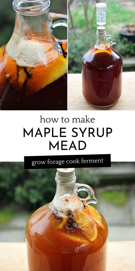 1 Gallon Mead Recipe, Making Mead, Mead Making For Beginners, Apple Mead Recipe, Honey Mead Recipe, Mead Recipe 1 Gallon, Mead Wine Recipes, Honey Mead, Beer Recipes Homebrew