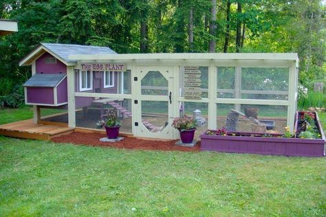 Amazing Chicken Coops! Reban Ayam, Chicken Coop Kit, Cute Chicken Coops, Chicken Coup, Chicken Pen, Chicken Coop Run, Coop Design, Backyard Poultry, Chicken Coop Designs