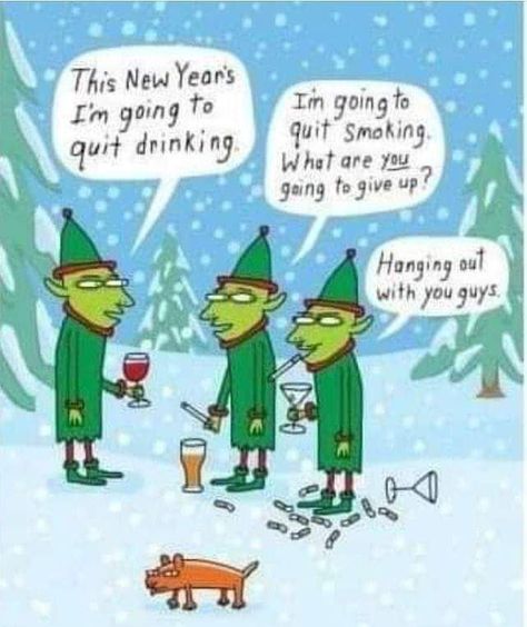 Christmas Funnies, New Year Jokes, New Year Quotes Funny Hilarious, Funny Holidays, Fun Puns, Funny Christmas Cartoons, Winter Humor, Holiday Jokes, New Year Cartoon